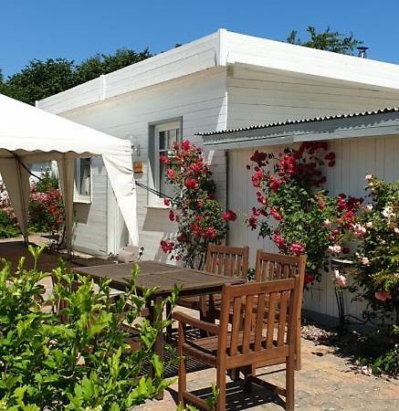 Ferienbungalow Haus Am Teich Boltenhagen  Exteriér fotografie