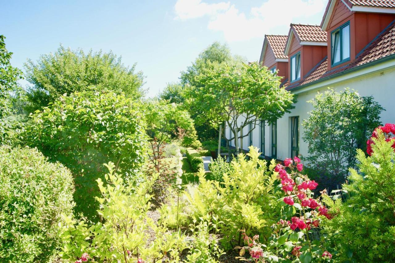 Ferienbungalow Haus Am Teich Boltenhagen  Exteriér fotografie
