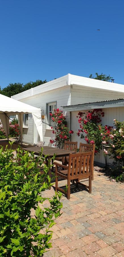 Ferienbungalow Haus Am Teich Boltenhagen  Exteriér fotografie