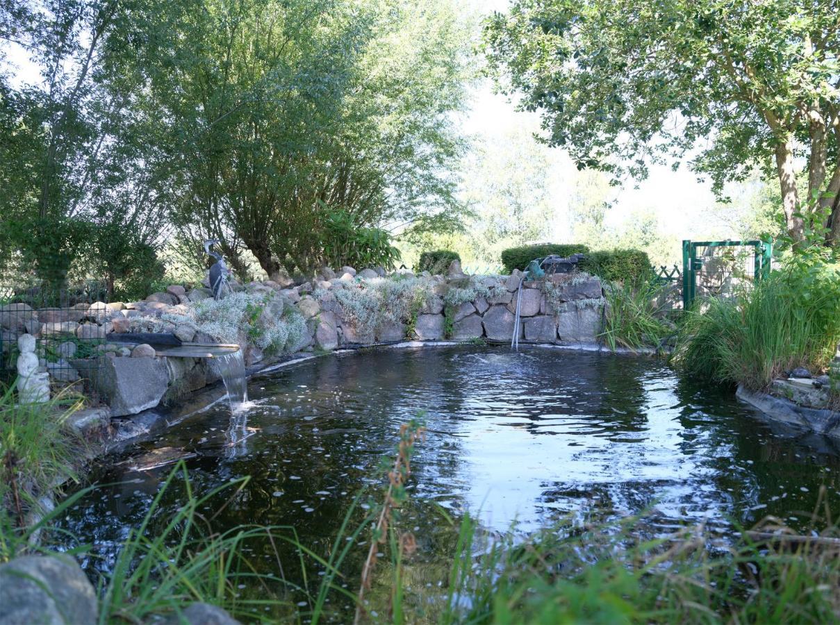 Ferienbungalow Haus Am Teich Boltenhagen  Exteriér fotografie